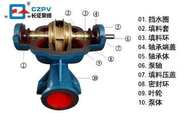 單級雙吸離心泵結(jié)構(gòu)圖 單級雙吸離心泵結(jié)構(gòu)圖